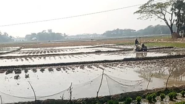 তালতলীতে আওয়ামীলীগ নেতার বিরুদ্ধে জমি দখলের অভিযোগ