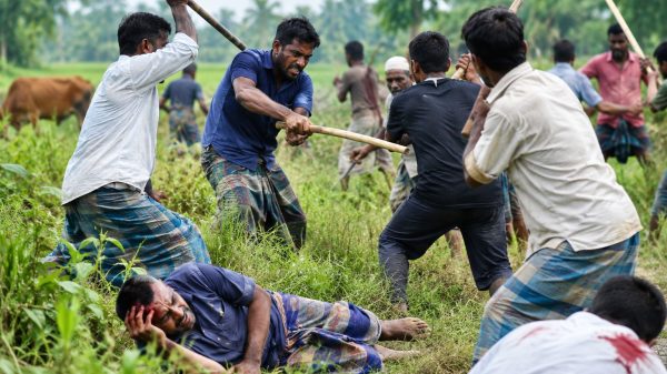 ব্রাহ্মণবাড়িয়ায় গরুর ঘাস কাটা নিয়ে দুই পক্ষের সংঘর্ষ, আহত ১৫